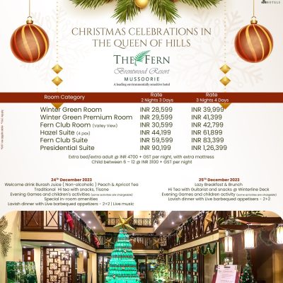 Fern Brentwood Xmas 2023-24